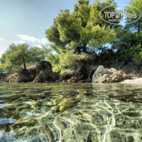 фото из отзыва ID 1180388