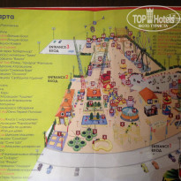 фото из отзыва ID 1187845