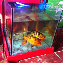 фото из отзыва ID 1188802