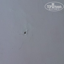 фото из отзыва ID 1188812