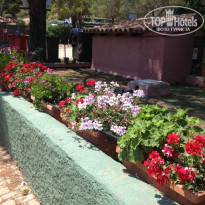 фото из отзыва ID 1189142