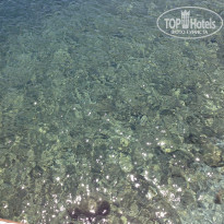 фото из отзыва ID 1189444