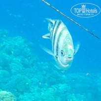 фото из отзыва ID 1189596