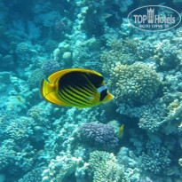 фото из отзыва ID 1189596