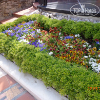 фото из отзыва ID 1189607