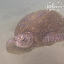 фото из отзыва ID 1189956