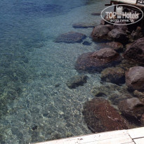 фото из отзыва ID 1189444