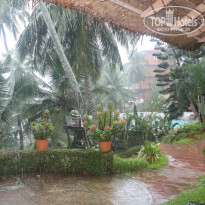 фото из отзыва ID 1185759