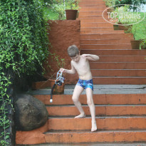 фото из отзыва ID 1185759