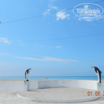 фото из отзыва ID 1181362