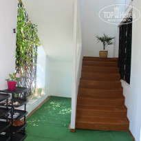 фото из отзыва ID 1181362