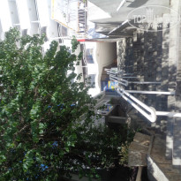 фото из отзыва ID 1183908