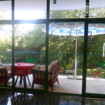 фото из отзыва ID 1183908