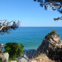 фото из отзыва ID 1186700