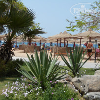 фото из отзыва ID 1182489