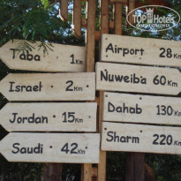 фото из отзыва ID 119386