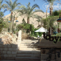 фото из отзыва ID 119386