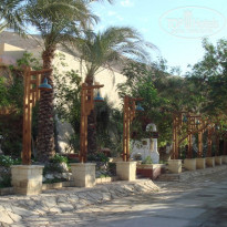 фото из отзыва ID 119386