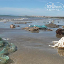 фото из отзыва ID 119530