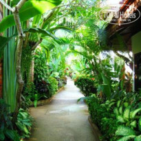 фото из отзыва ID 119809