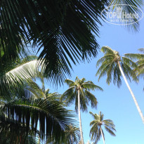 фото из отзыва ID 1190016