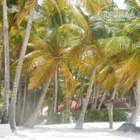 фото из отзыва ID 1190221