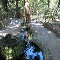 фото из отзыва ID 1190336