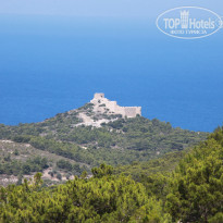 фото из отзыва ID 1190336