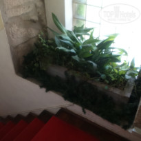 фото из отзыва ID 1190531