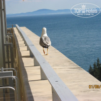 фото из отзыва ID 1190693