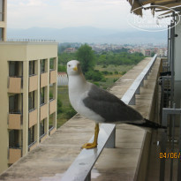 фото из отзыва ID 1190693