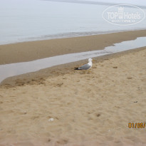 фото из отзыва ID 1190737