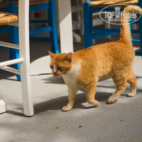 фото из отзыва ID 1190761