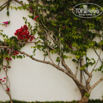 фото из отзыва ID 1190761