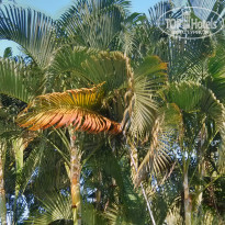 фото из отзыва ID 1190853