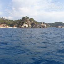 фото из отзыва ID 1191066