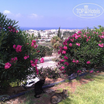 фото из отзыва ID 1191368