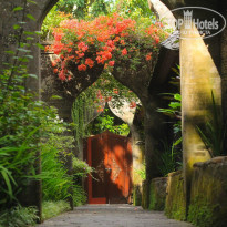 фото из отзыва ID 1191833