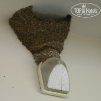 фото из отзыва ID 1191883