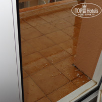 фото из отзыва ID 1192065