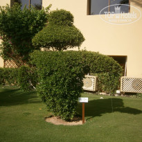 фото из отзыва ID 1191379