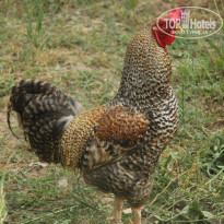 фото из отзыва ID 1192496