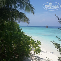 фото из отзыва ID 1192502