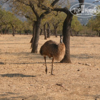 фото из отзыва ID 1192769