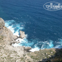 фото из отзыва ID 1192769