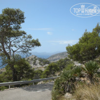 фото из отзыва ID 1192769