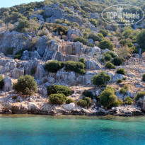 фото из отзыва ID 1192836