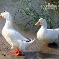 фото из отзыва ID 1192836