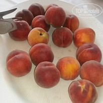 фото из отзыва ID 1191871