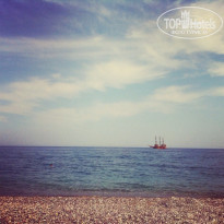 фото из отзыва ID 1193111